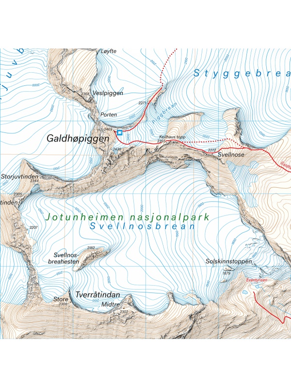 Jotunheimen - Galdhopiggen detail